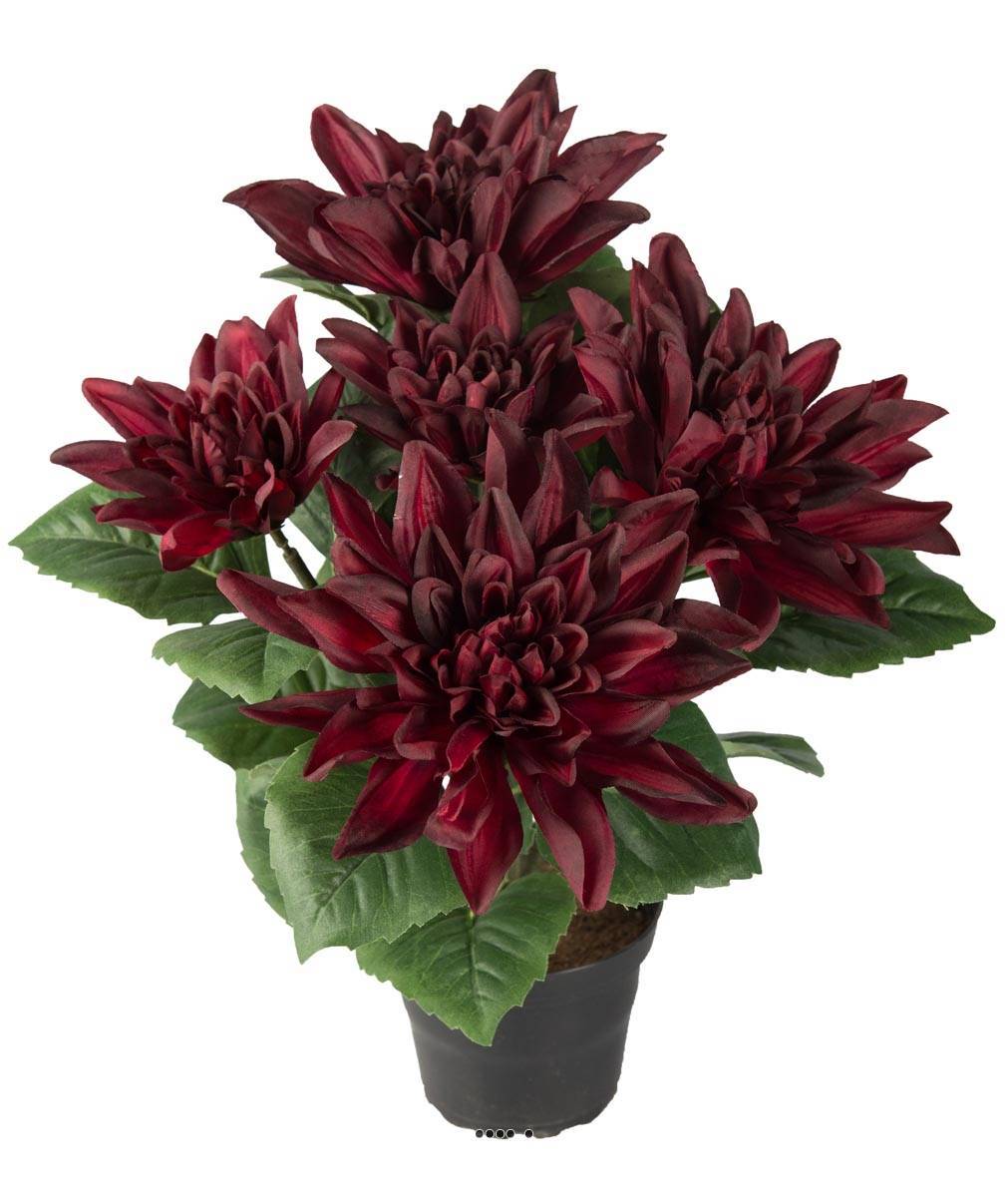 Artificielles - Dalhia commun artificiel en pot, 5 fleurs, H 30 cm Pourpre - couleur: Pourpre - Imagen 2