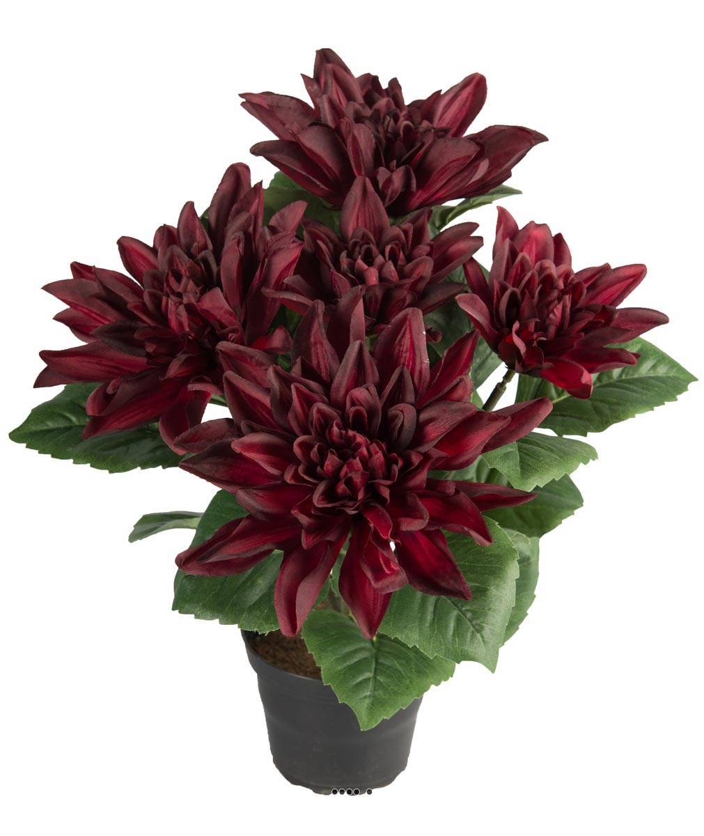 Artificielles - Dalhia commun artificiel en pot, 5 fleurs, H 30 cm Pourpre - couleur: Pourpre - Image 1