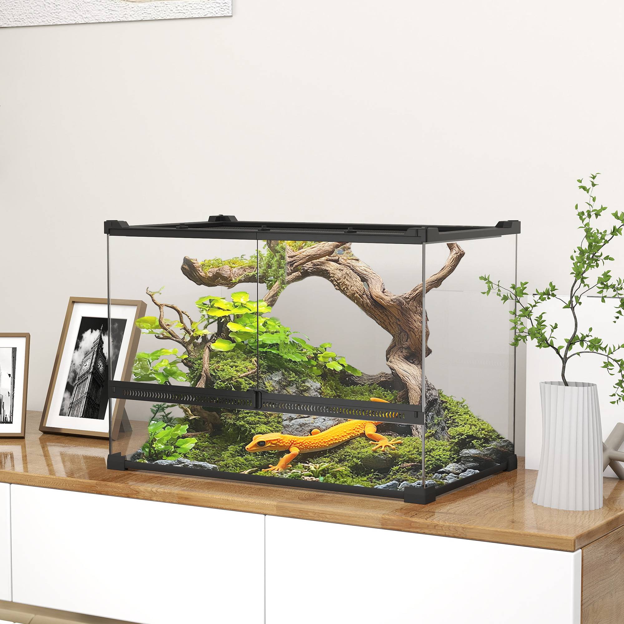 Terrarium verre noir 50 x 30 x 35 cm - PANGIVO - Image 3