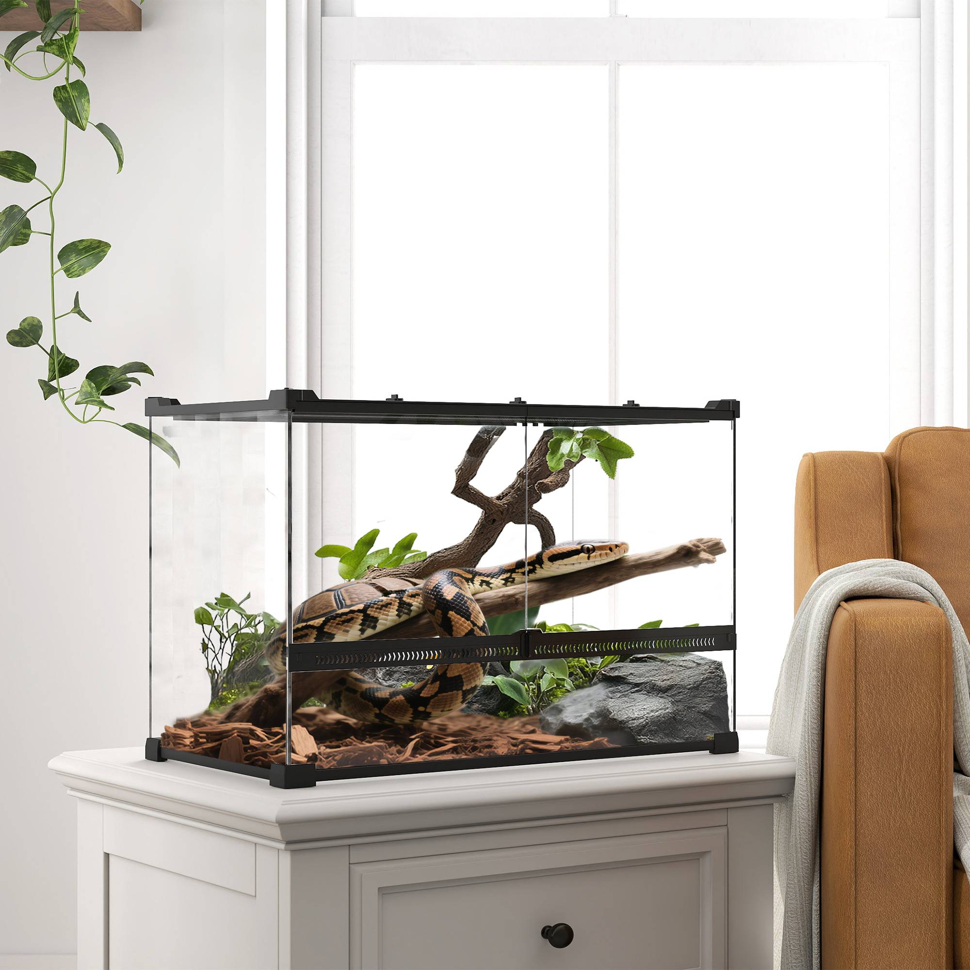Terrarium verre noir 50 x 30 x 35 cm - PANGIVO - Image 4