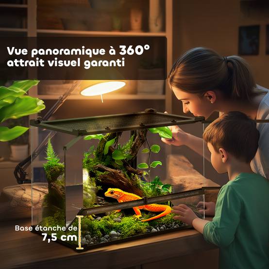 Terrarium verre noir 50 x 30 x 35 cm - PANGIVO - Image 8