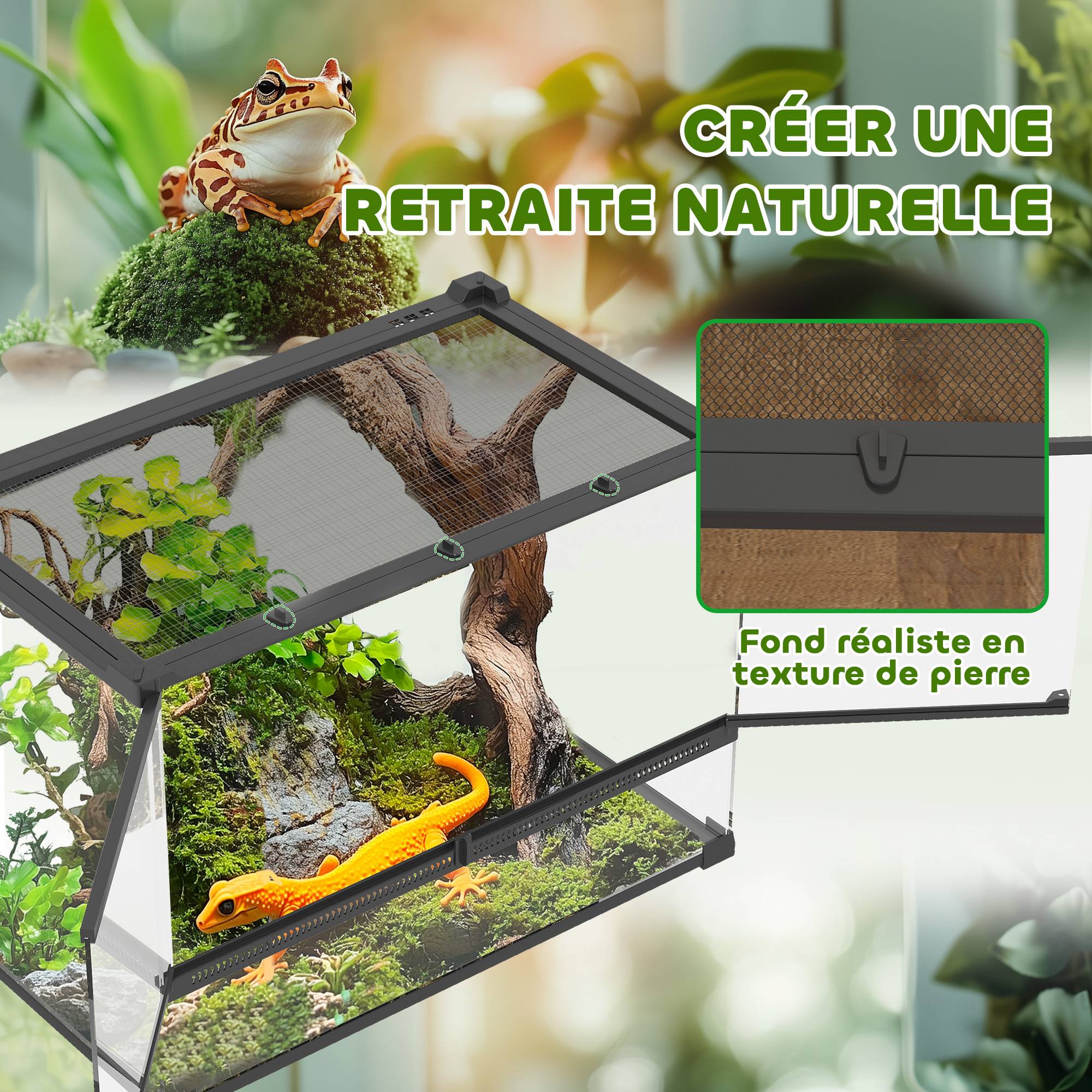 Terrarium verre noir 50 x 30 x 35 cm - PANGIVO - Image 7