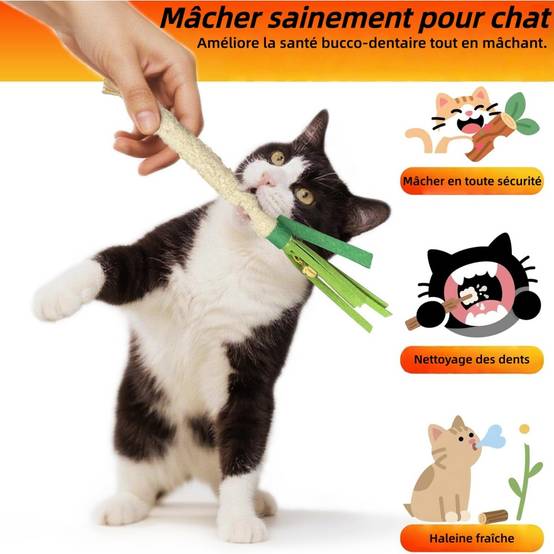 Jouets à Mâcher d'Herbe à Chat Pour Chats Matériaux Mixtes Durables, 22cm - Lytech - Image 2