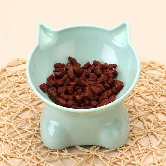 IntiMeg - Gamelle surélevée pour chat(Vert) - IntiMeg - Image 5