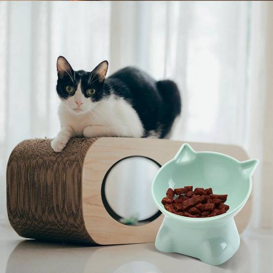 IntiMeg - Gamelle surélevée pour chat(Vert) - IntiMeg - Image 4