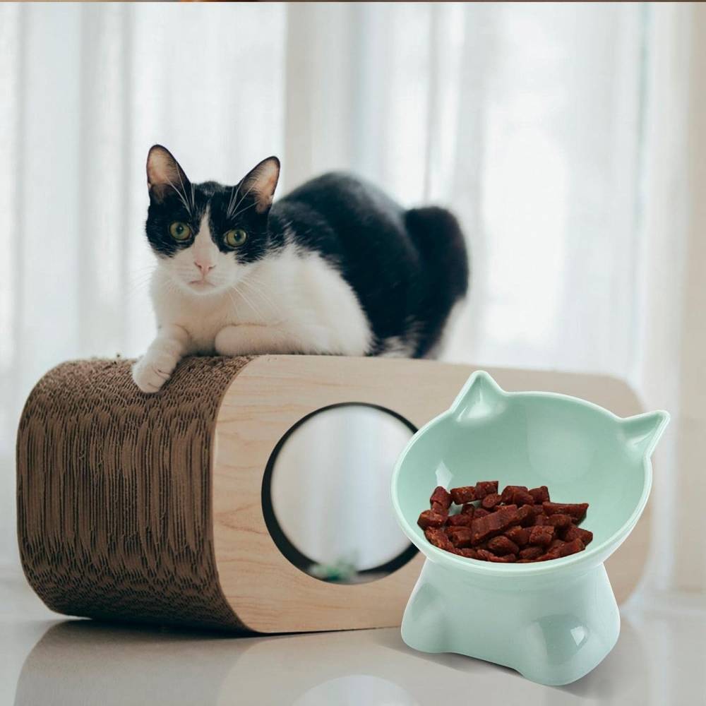 IntiMeg - Gamelle surélevée pour chat(Vert)  - IntiMeg - Image 4