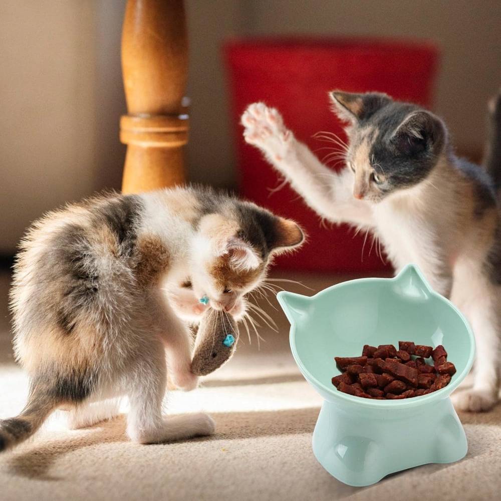 IntiMeg - Gamelle surélevée pour chat(Vert)  - IntiMeg - Image 3