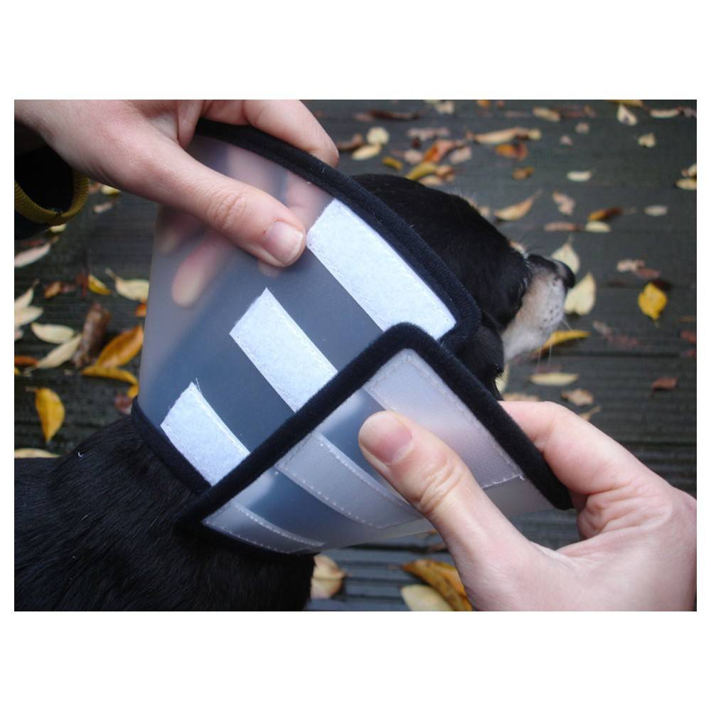 Flamingo - Collerette de protection Capo M 25,5 cm pour chien - Flamingo - Image 5