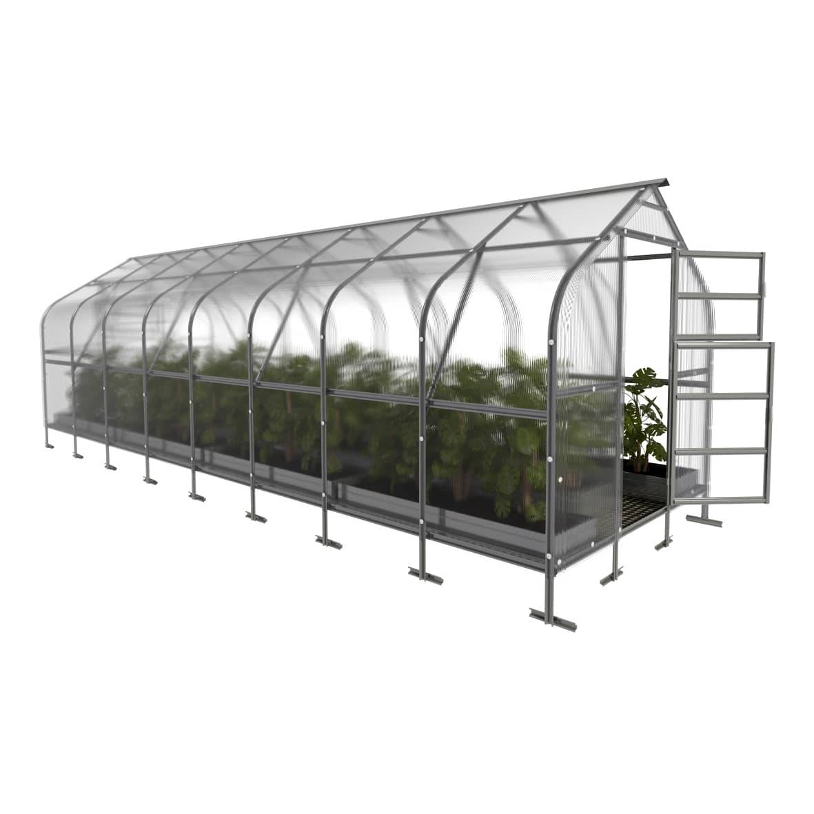 KLASIKA GREENHOUSES - Serre KLASIKA*DROP 20m2, 2,5m x 8m, 4 mm avec revêtement en polycarbonate - Image 5