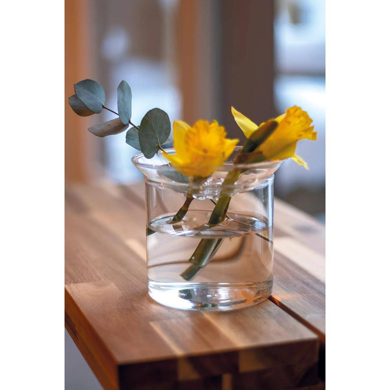 Vase de bouturage - taille L - Image 1