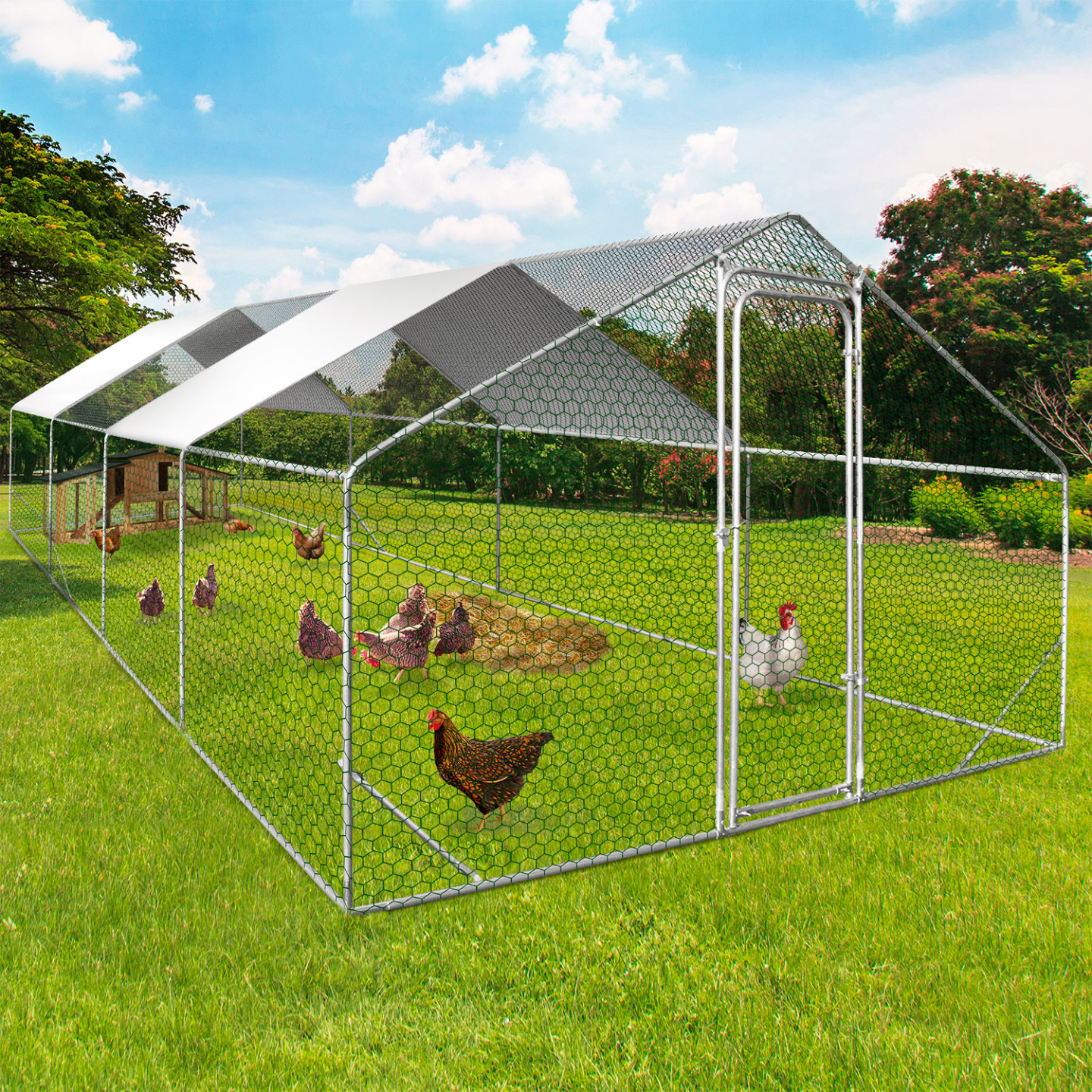 Enclos poulailler 24 m² grillagé 8×3 m en acier galvanisé avec porte sécurisée – ID Market
