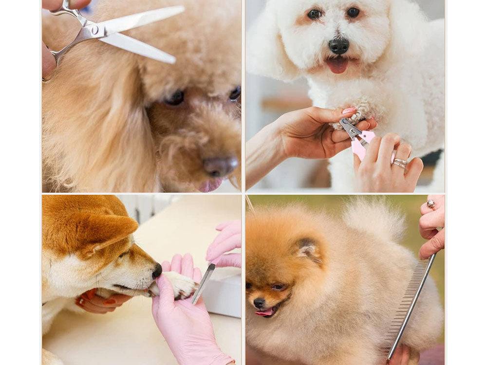 Set professionnel de tondeuses sans fil pour chiens et animaux de compagnie - Image 3