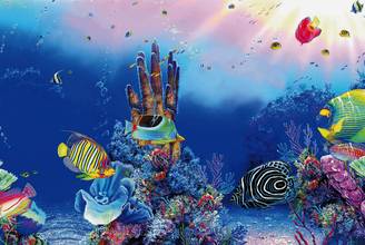Superfish - Poster décoratif aquarium papier 120 x 49 cm F4 - SUPERFISH