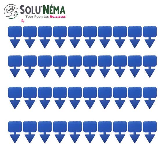 Solu'Néma - 40 Pièges Collants Bleus pour les Thrips, Moucherons, Design XXL - Image 3