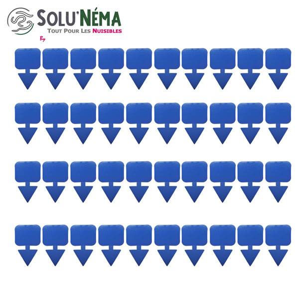 Solu'Néma - 40 Pièges Collants Bleus pour les Thrips, Moucherons, Design XXL - Image 3