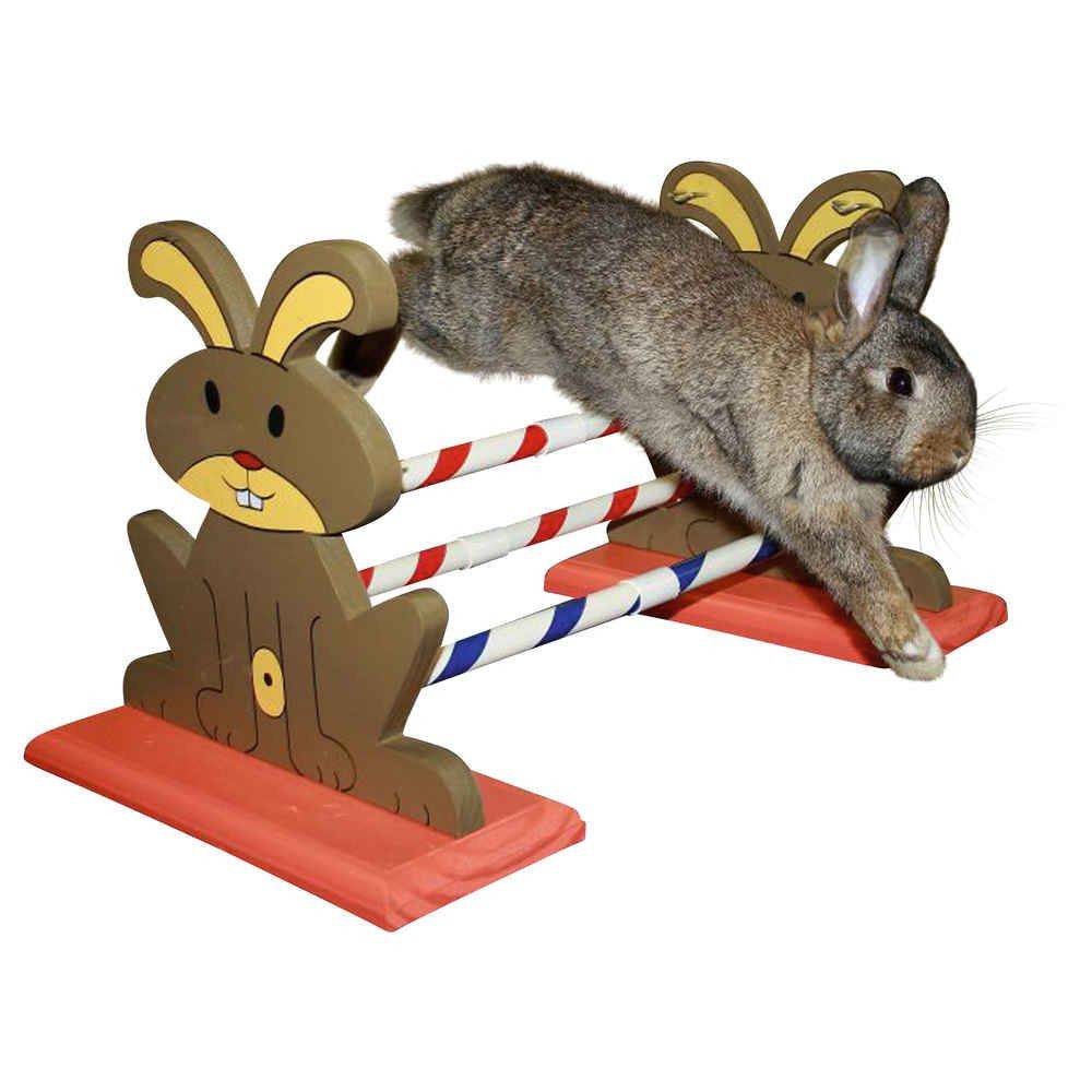 Obstacle Agility Kaninhop, pour rongeurs et lapins, taille: 62 cm par 33 cm et 34 cm - Imagen 1