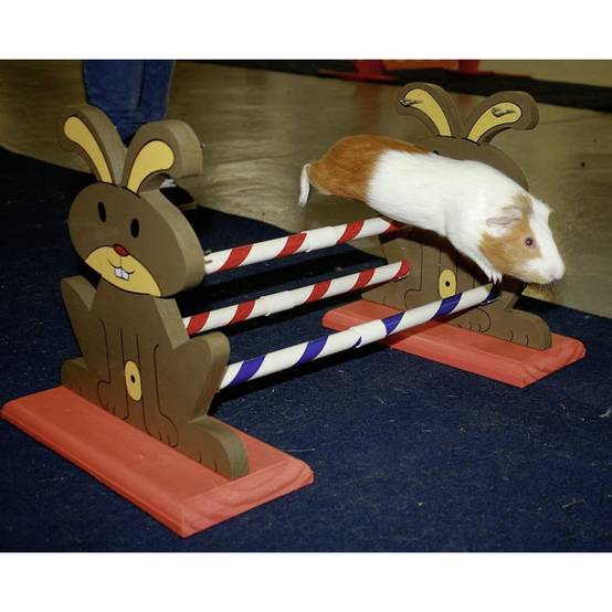 Obstacle Agility Kaninhop, pour rongeurs et lapins, taille: 62 cm par 33 cm et 34 cm - Image 3