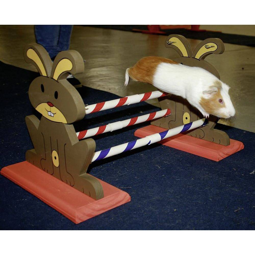 Obstacle Agility Kaninhop, pour rongeurs et lapins, taille: 62 cm par 33 cm et 34 cm - Imagen 3