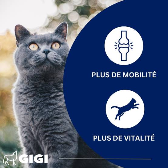 Soutien Articulaire Chats PRO+ 30 comprimés GIGI VET - Image 2