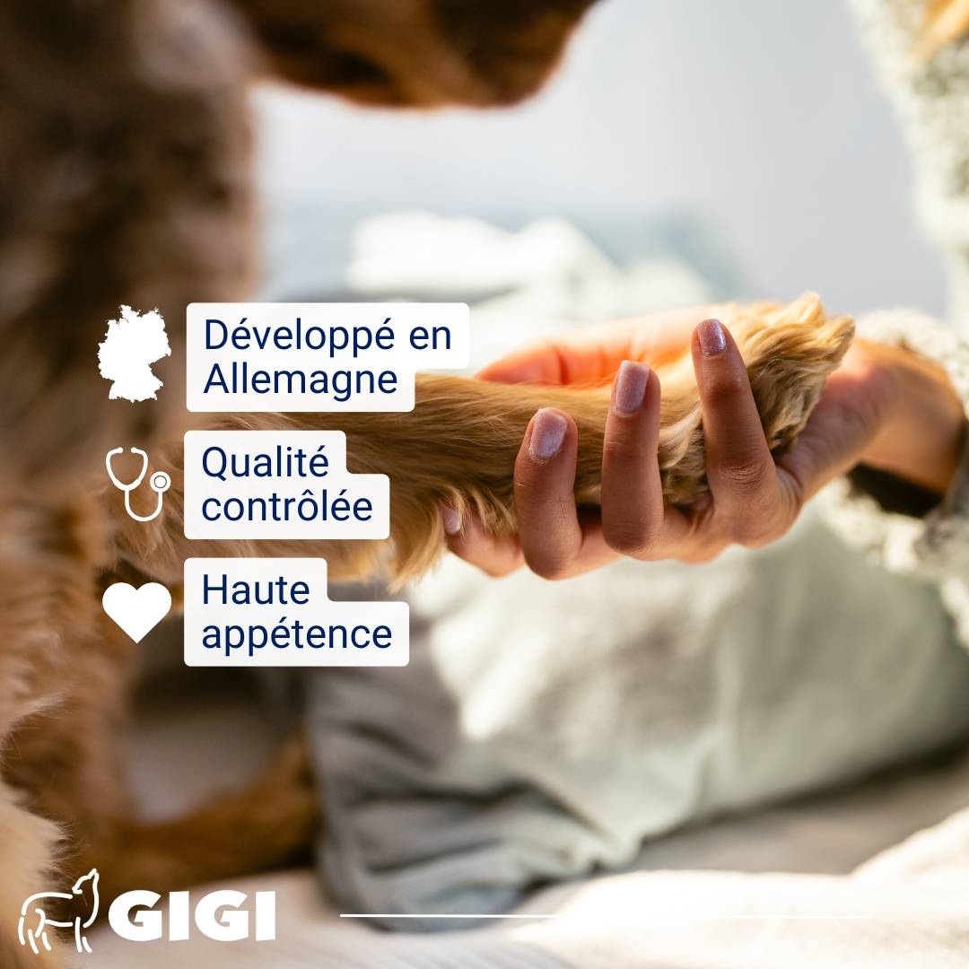 Soutien Articulaire Chats PRO+ 30 comprimés GIGI VET - Image 6