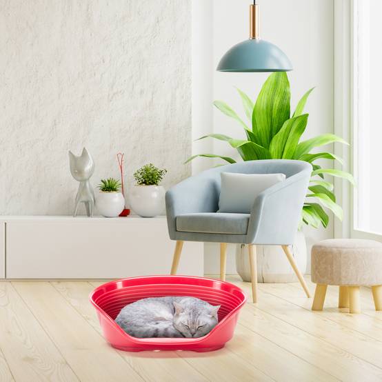 Ferplast - FERPLAST - Panier Chien Panier Chat - Lit pour Chien en Plastique Small - 100% Plastique Recyclé - Lit pou Chat Lavable - Respirant Antidérapant - - Image 4