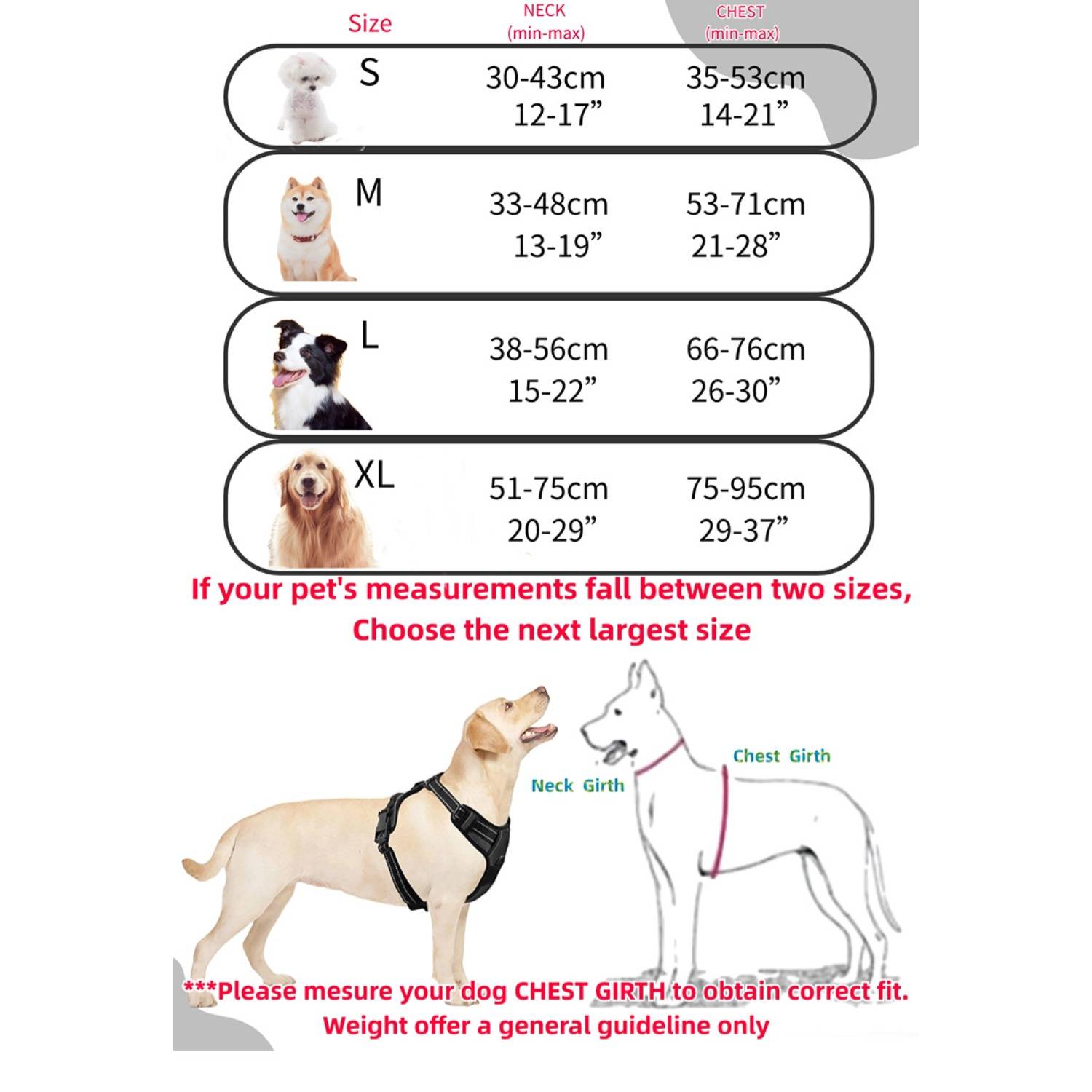 DtopbuyAge - Harnais-Laisse Réfléchissant pour Grand Chien L - Image 4