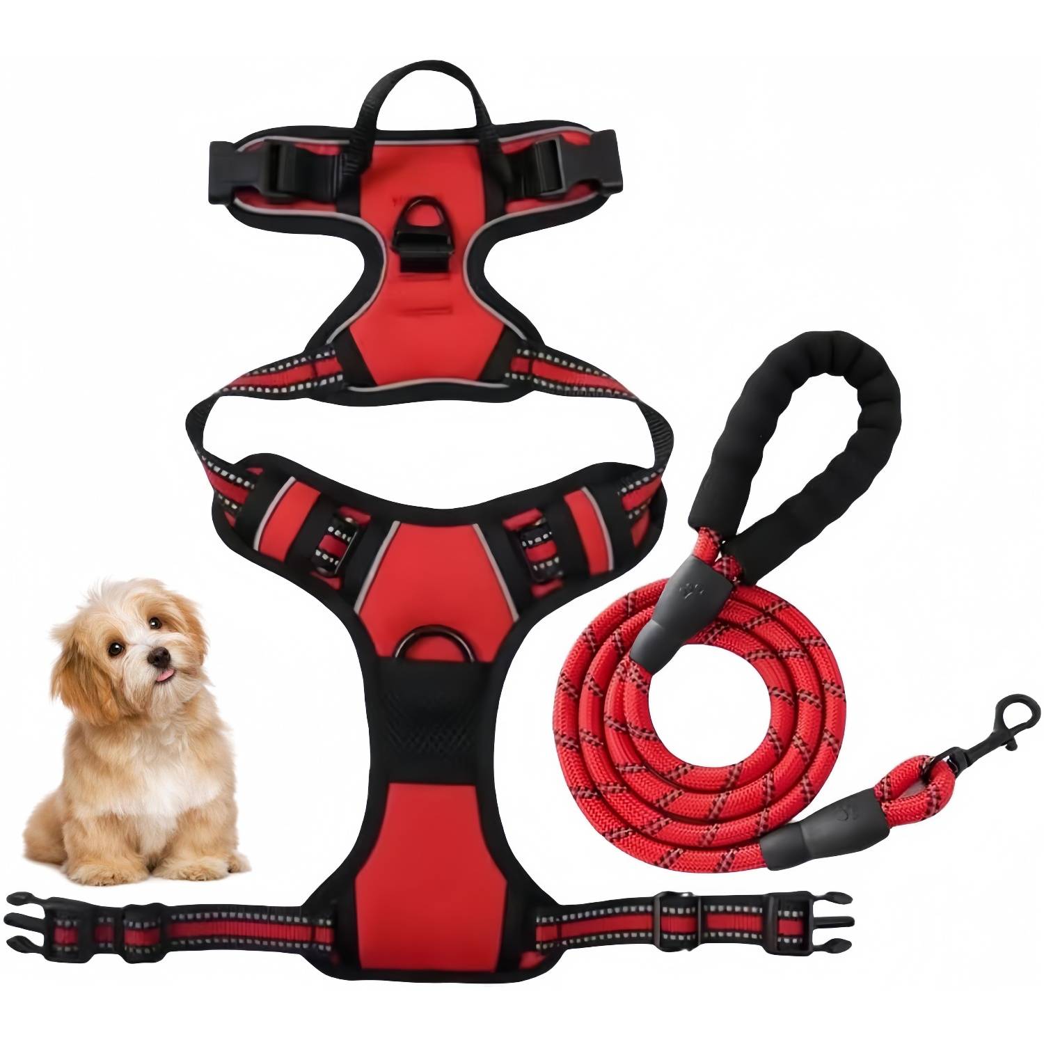 DtopbuyAge - Harnais-Laisse Réfléchissant pour Grand Chien L - Image 1