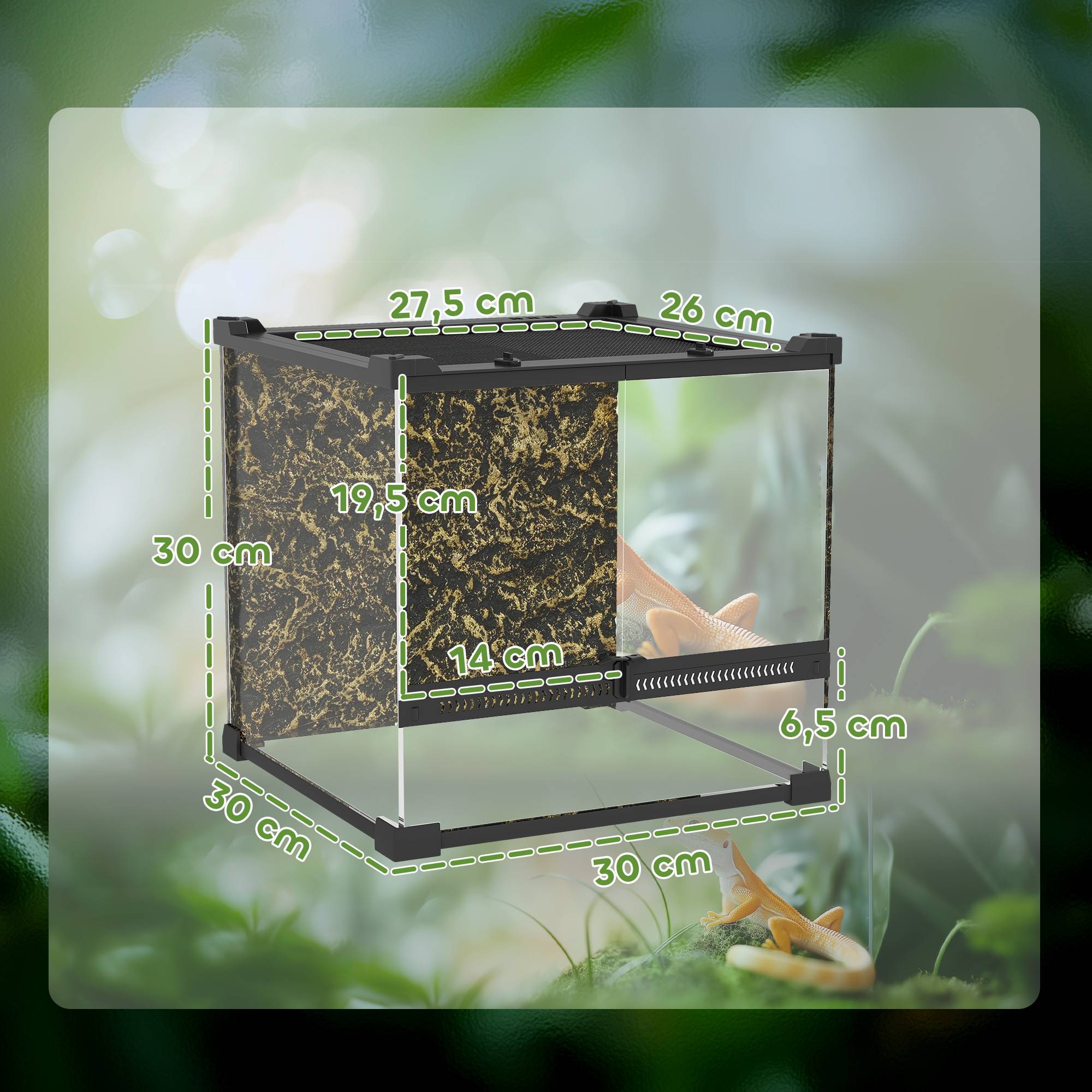 Terrarium en verre pour reptiles, fond surélevé et étanche, fermeture à bouton - Image 5