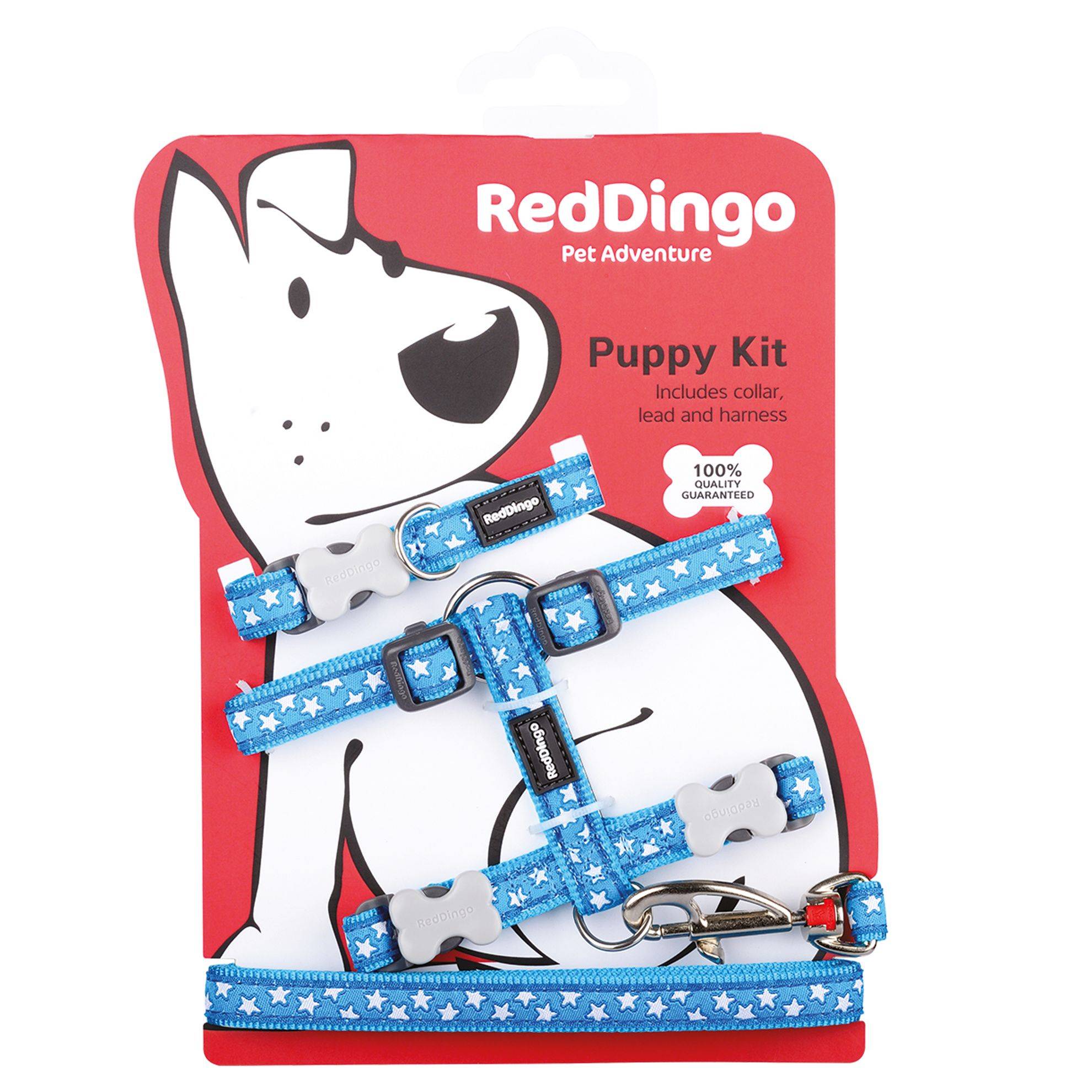 Pack Chiot Red Dingo fantaisie : Bleu RED DINGO