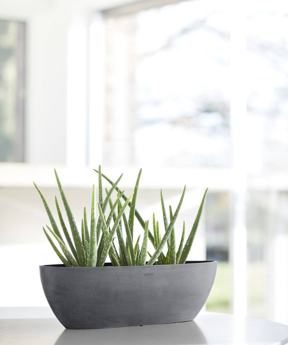 Ecopots - Pot Ovale Sofia Long 56 Gris + réservoir d'eau - 56 x 14 x H. 16 cm - 7 L ECOPOTS - Imagen 4