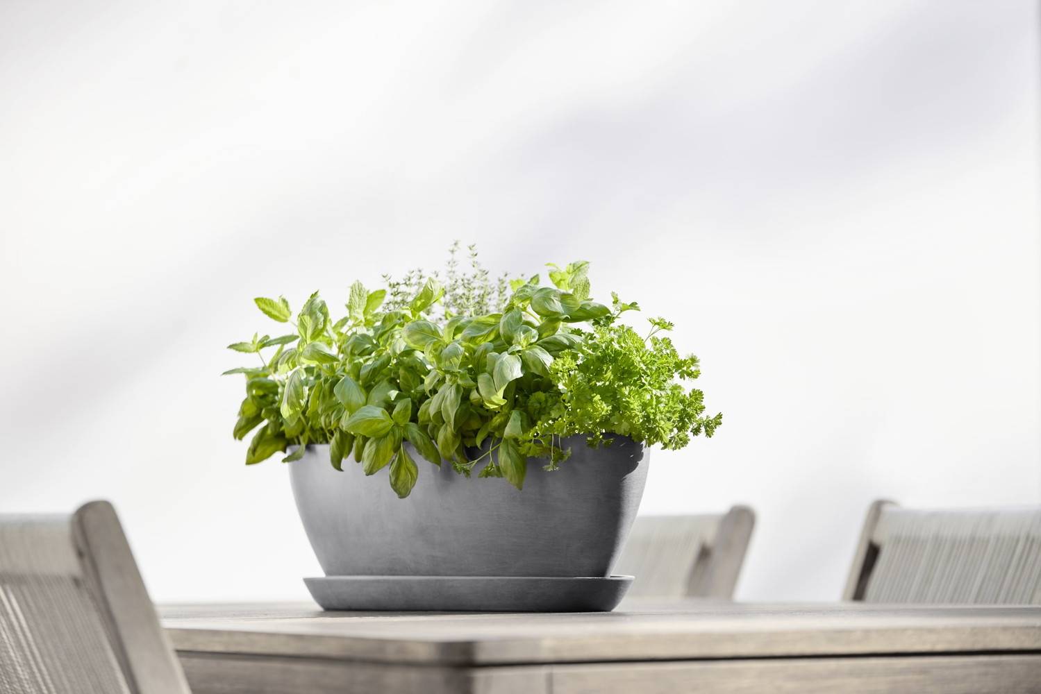 Ecopots - Pot Ovale Sofia Long 56 Gris + réservoir d'eau - 56 x 14 x H. 16 cm - 7 L ECOPOTS - Imagen 5