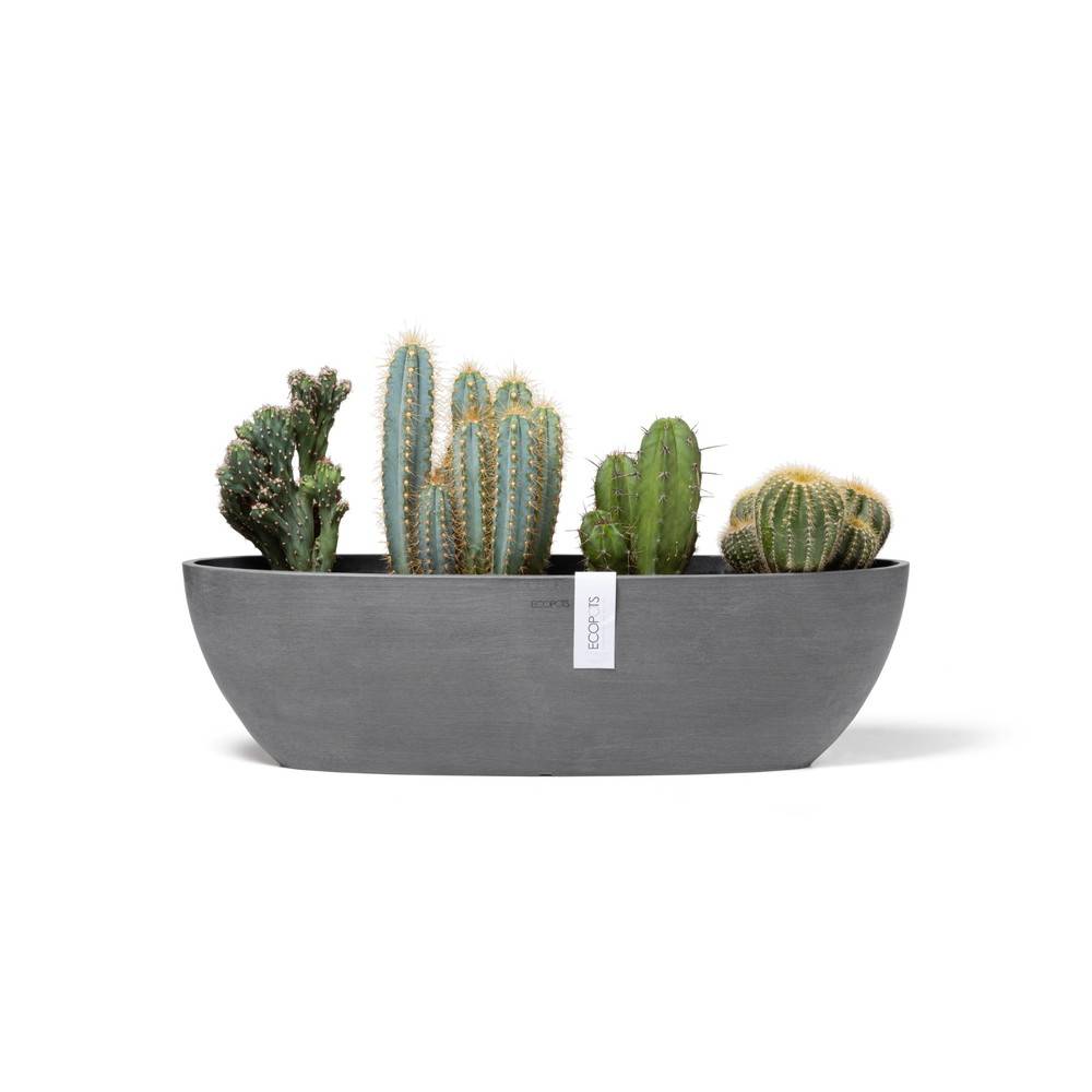 Ecopots - Pot Ovale Sofia Long 56 Gris + réservoir d'eau - 56 x 14 x H. 16 cm - 7 L ECOPOTS - Imagen 1