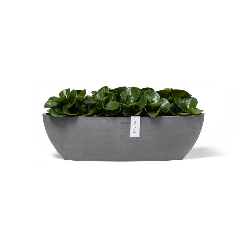 Ecopots - Pot Ovale Sofia Long 56 Gris + réservoir d'eau - 56 x 14 x H. 16 cm - 7 L ECOPOTS - Imagen 2