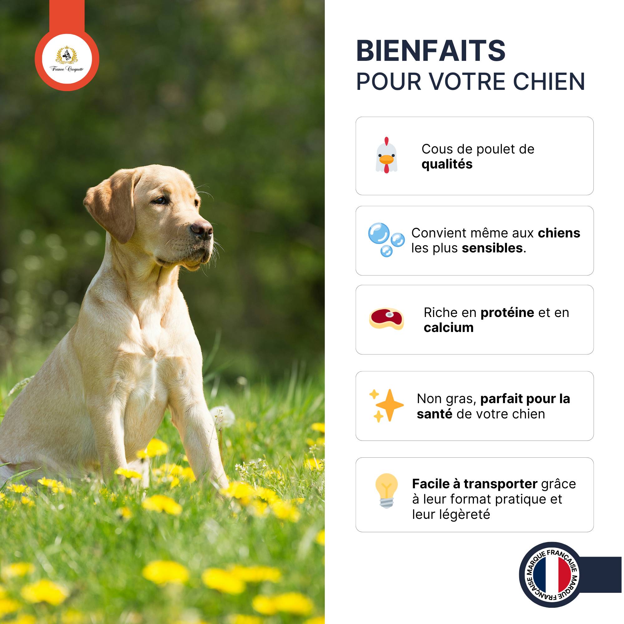 France Croquettes - France Croquettes Friandise pour chien Cous de poulet séchés - 5 kg - Image 8