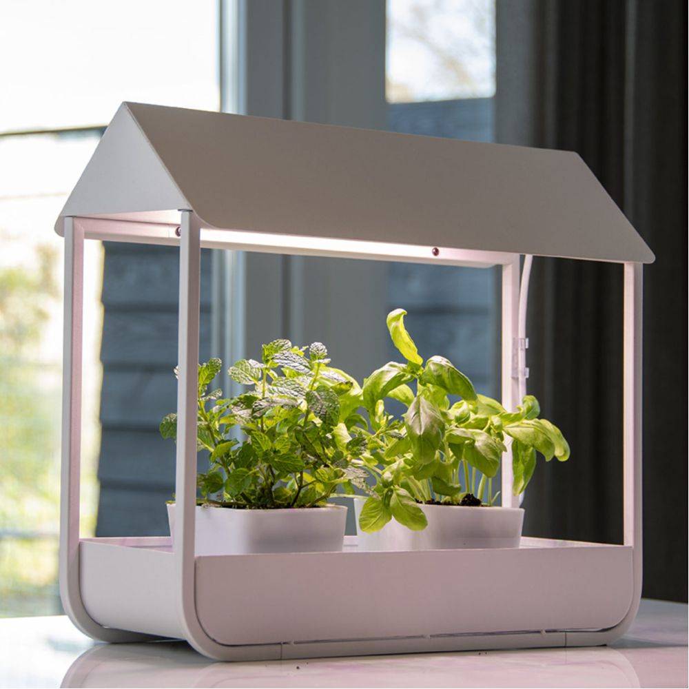 Esschert Design - Serre avec lampe de croissance design - Imagen 2
