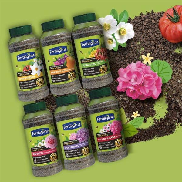 Fertiligène - Engrais longue durée premium plantes fleuries géraniums 600 g - FERTILIGENE - FEGLDGER - Image 5