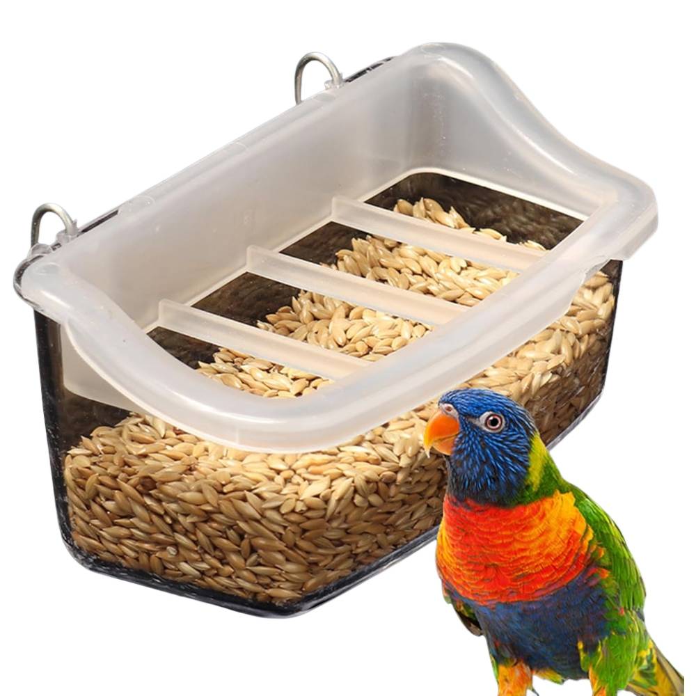 Mangeoire pour oiseaux - IntiMeg