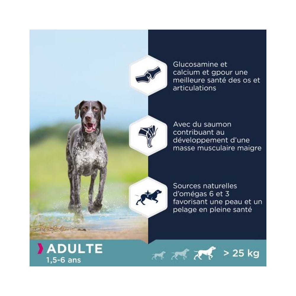 Eukanuba - Eukanuba - Croquettes Sans Céréales au Poisson pour Chien de Grande Taille - Imagen 3