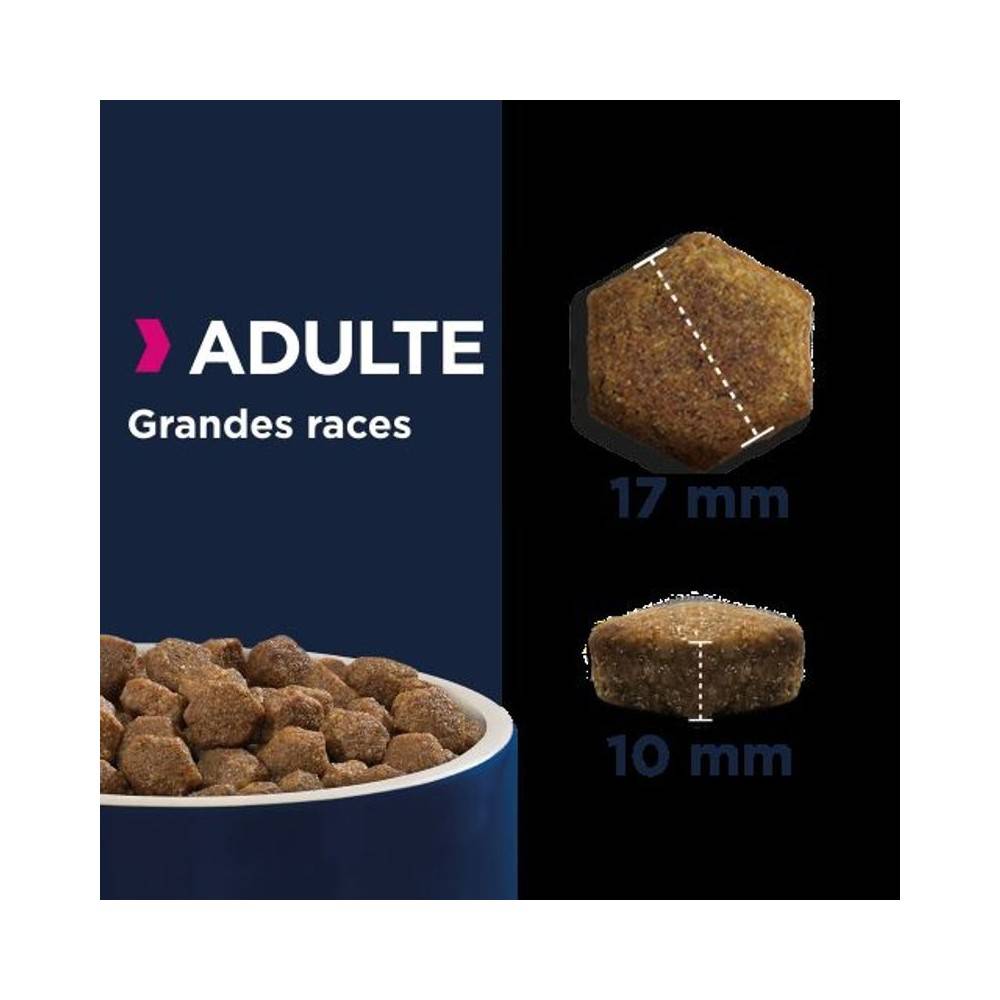Eukanuba - Eukanuba - Croquettes Sans Céréales au Poisson pour Chien de Grande Taille - Imagen 5