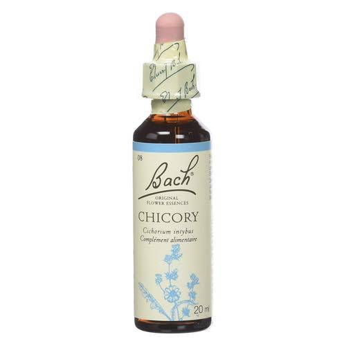 Chicory - Fleurs de Bach® n°8 Fleur de Bach