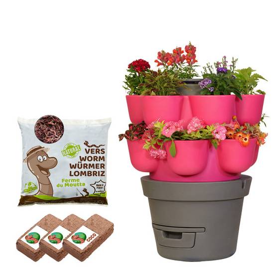 WORMgarden Fuchsia 2 jardinières + 250gr de Vers - Image 1