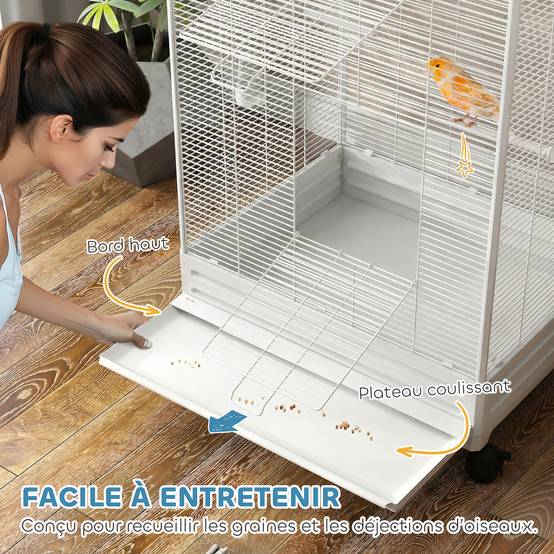 Volière oiseaux intérieure acier petits passereaux toit élégant 79x65x155cm blanc - ComfortXL Outdoor Living - Image 7