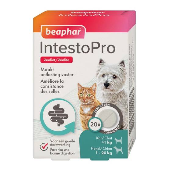 Beaphar - Intestopro Chat 20