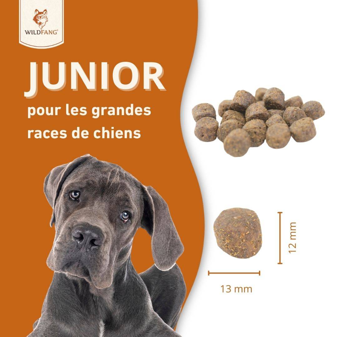 Wildfang - Wildfang Aliments secs juniors avec saumon pour chiots - sans céréales - 2 x 2 kg - Image 5