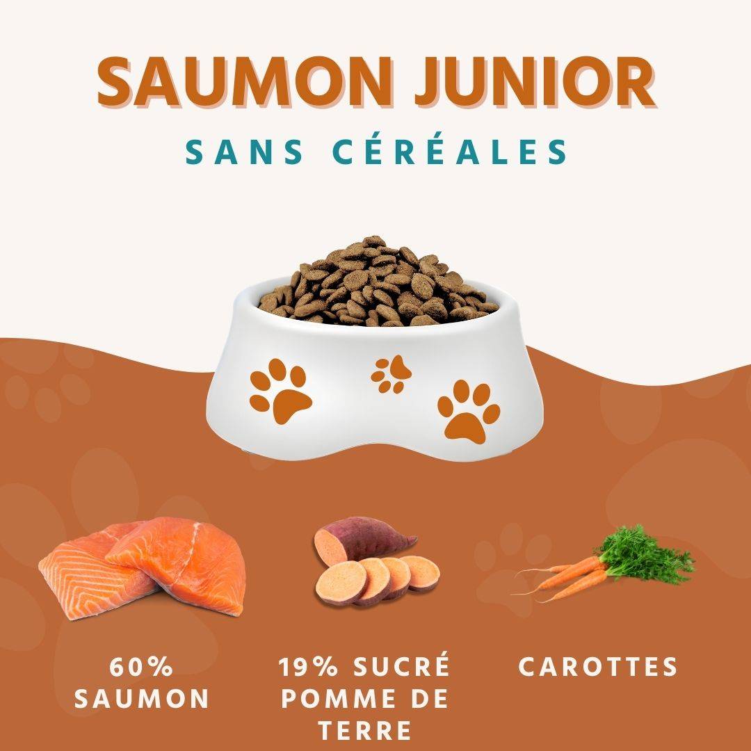 Wildfang - Wildfang Aliments secs juniors avec saumon pour chiots - sans céréales - 2 x 2 kg - Image 2