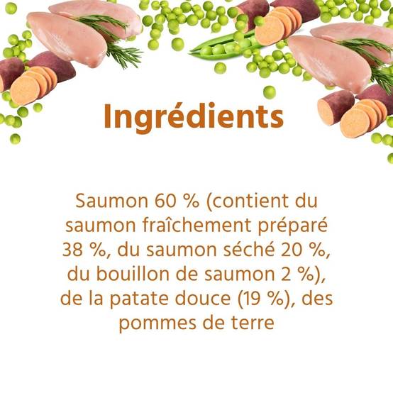 Wildfang - Wildfang Aliments secs juniors avec saumon pour chiots - sans céréales - 2 x 2 kg - Image 4