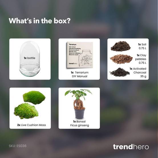 Kit Terrarium Diy - D25 H25cm - Image 4