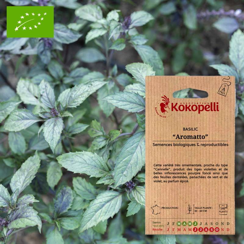 Basilic Aromatto- Graines bio à semer - Image 1