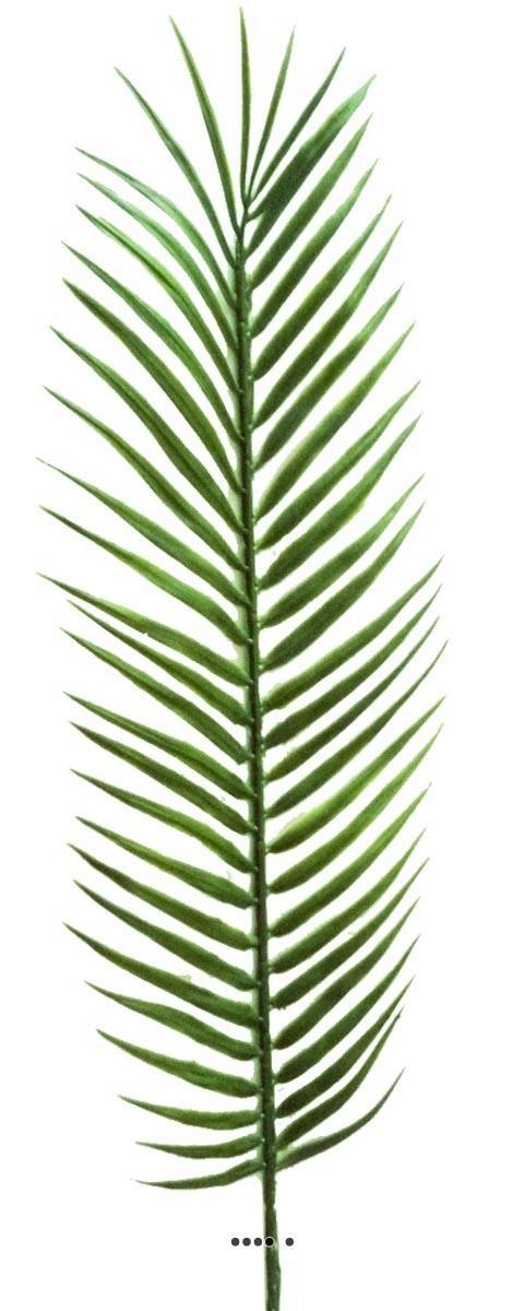 Artificielles - Feuille de palmier Cycas H57cm x12 Plastique ext. D15cm superbe