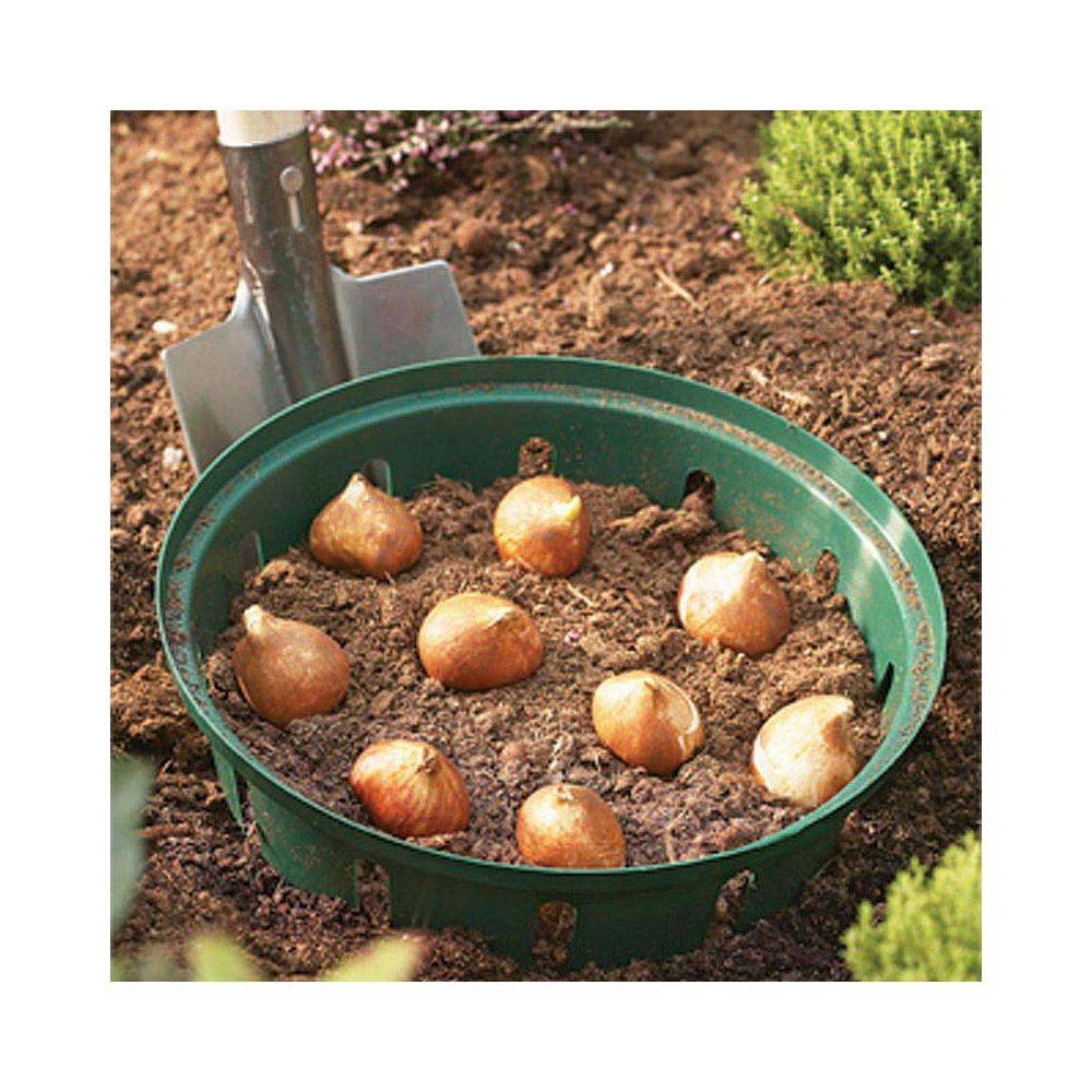 Garland - Panier pour bulbes rond 30 cm (Lot de 2) - Imagen 2